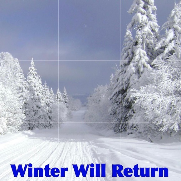 Hot In Hollywood Suede Boots - Picture 5 of 6